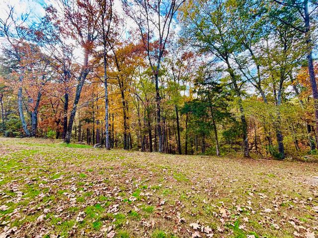 6575 Banner Mountain Road, Shirley, AR 72153