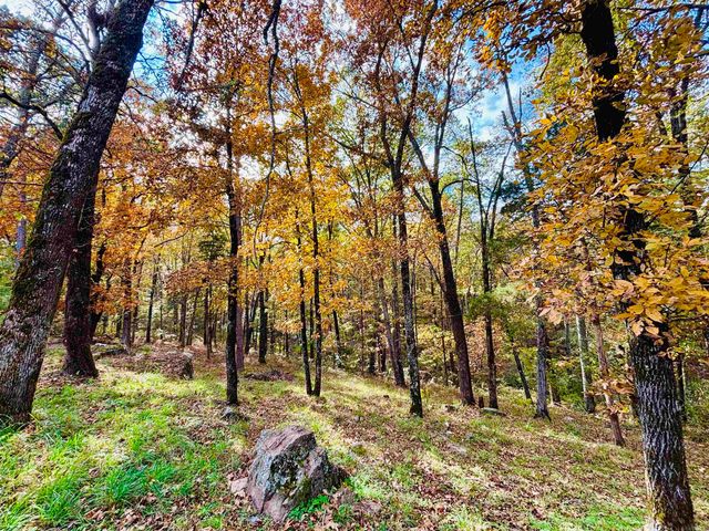 6575 Banner Mountain Road, Shirley, AR 72153