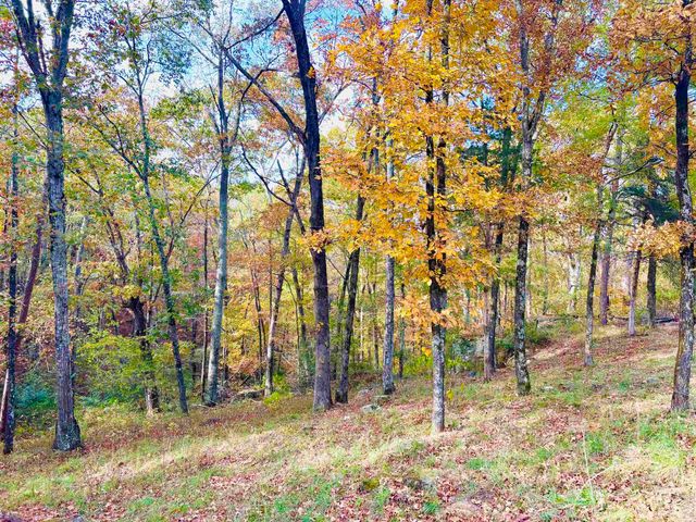 6575 Banner Mountain Road, Shirley, AR 72153