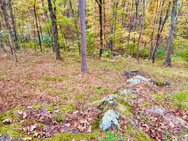 6575 Banner Mountain Road, Shirley, AR 72153