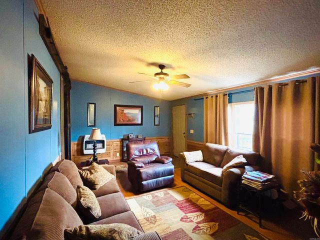 6575 Banner Mountain Road, Shirley, AR 72153