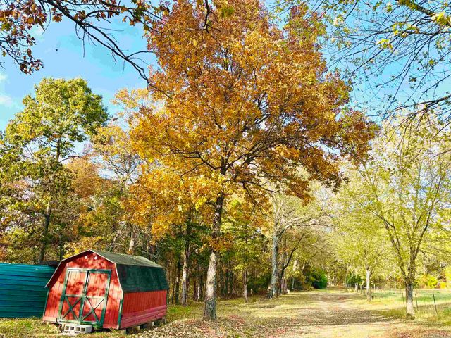 6575 Banner Mountain Road, Shirley, AR 72153