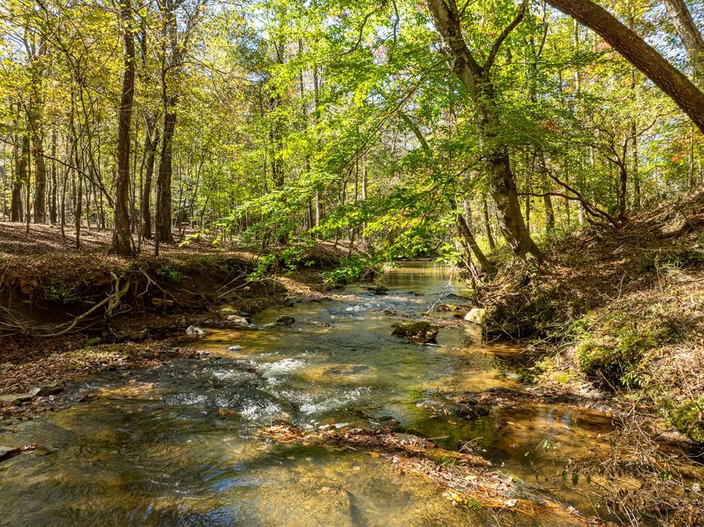 Lot 24 Upper Creek Trail Road, Ellijay, GA 30540