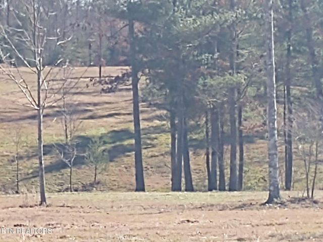 1241 Twin Bridge Rd, Deer Lodge, TN 37726