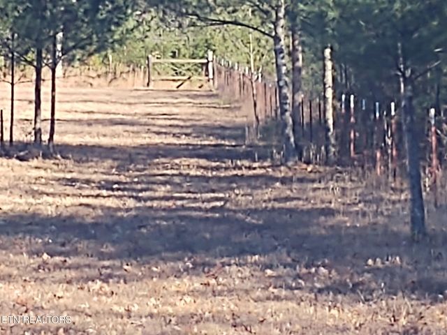 1241 Twin Bridge Rd, Deer Lodge, TN 37726