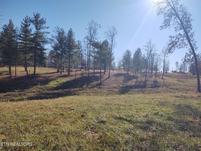 1241 Twin Bridge Rd, Deer Lodge, TN 37726