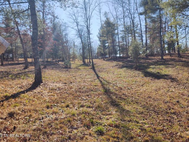 1241 Twin Bridge Rd, Deer Lodge, TN 37726