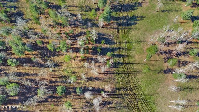 1241 Twin Bridge Rd, Deer Lodge, TN 37726