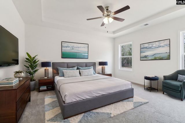 575 Griffon Drive, Chapin, SC 29036