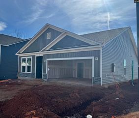 575 Griffon Drive, Chapin, SC 29036