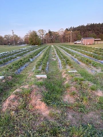 7900 81 SOUTH Highway, Starr, SC 29684