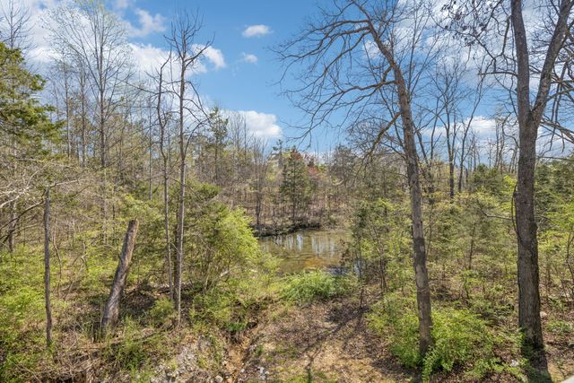 7503 Fernvale Springs Way, Fairview, TN 37062