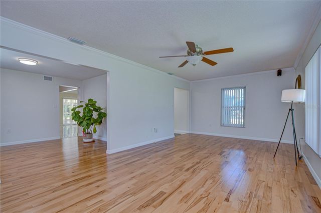 11912 RIVERHILLS DRIVE, Tampa, FL 33617