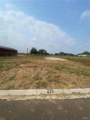 4664 Steamboat Drive, Edinburg, TX 78542