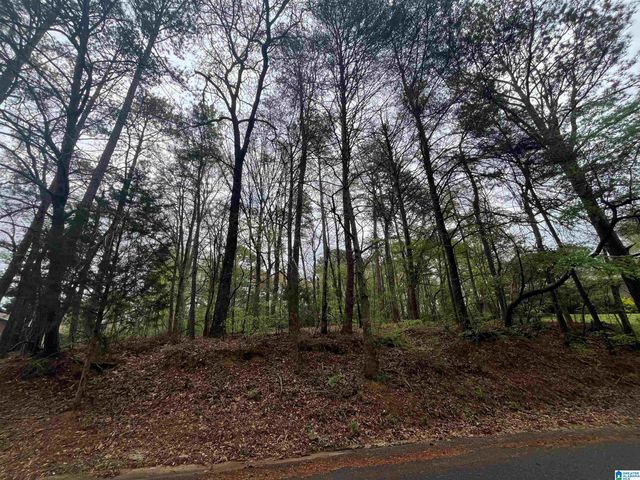 921 PINEHAVEN DRIVE, Bessemer, AL 35023