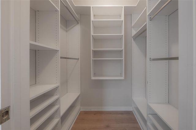 2908 WHITTINGTON PLACE, Tampa, FL 33618