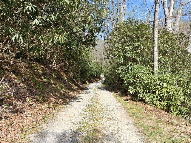 00 Lazy Bear Trail 35 & 36, Hendersonville, NC 28792