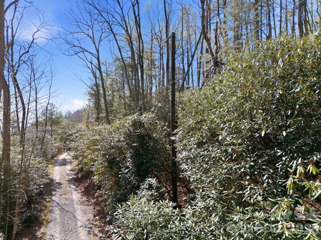 00 Lazy Bear Trail 35 & 36, Hendersonville, NC 28792