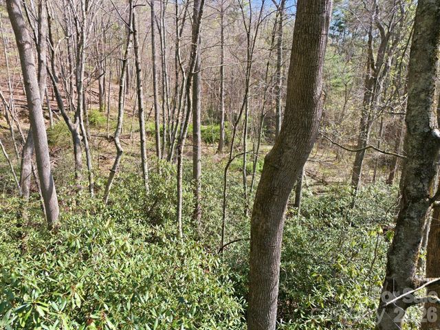 00 Lazy Bear Trail 35 & 36, Hendersonville, NC 28792