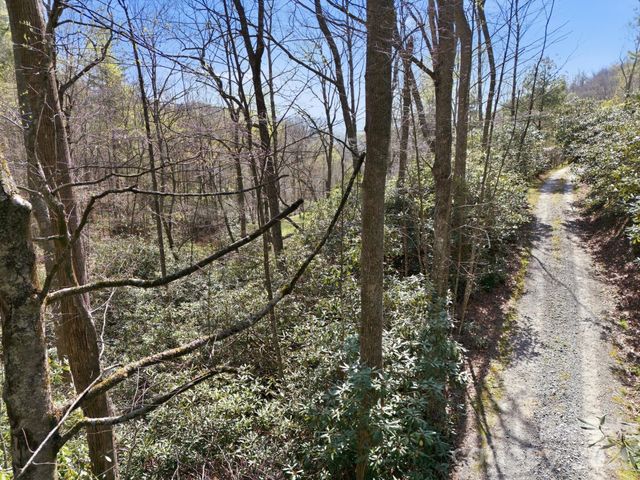 00 Lazy Bear Trail 35 & 36, Hendersonville, NC 28792