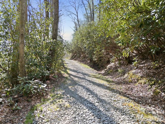 00 Lazy Bear Trail 35 & 36, Hendersonville, NC 28792