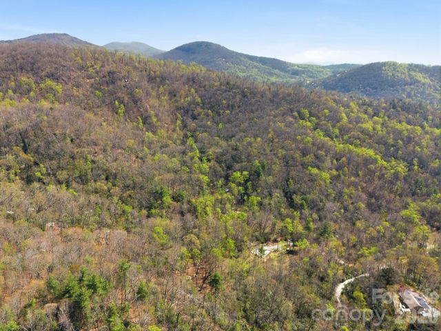 00 Lazy Bear Trail 35 & 36, Hendersonville, NC 28792