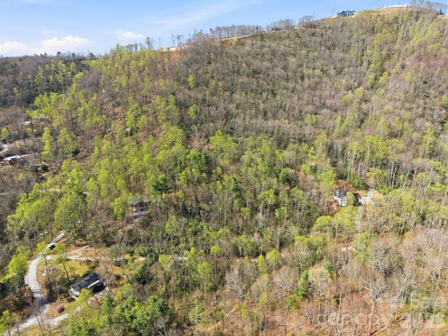 00 Lazy Bear Trail 35 & 36, Hendersonville, NC 28792