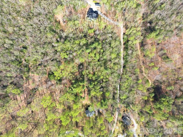 00 Lazy Bear Trail 35 & 36, Hendersonville, NC 28792