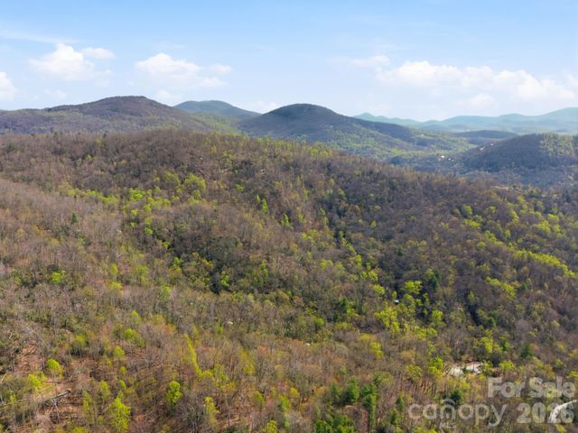 00 Lazy Bear Trail 35 & 36, Hendersonville, NC 28792