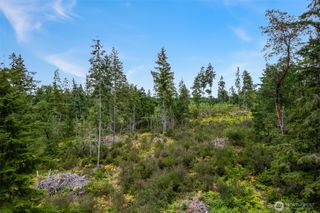 0 E South Island Drive, Shelton, WA 98584