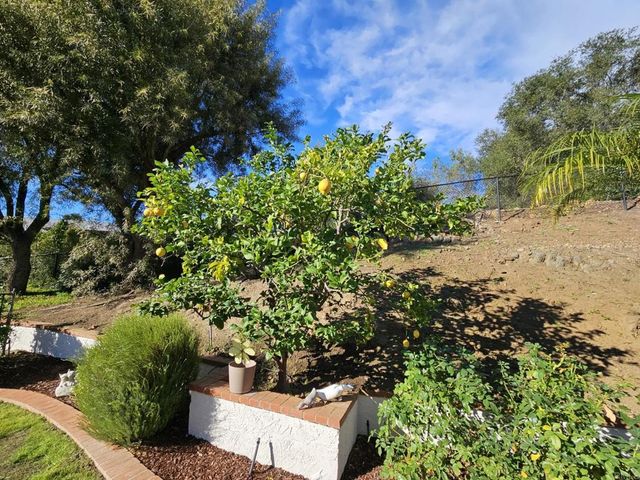 28124 Mountain Meadow Road, Escondido, CA 92026