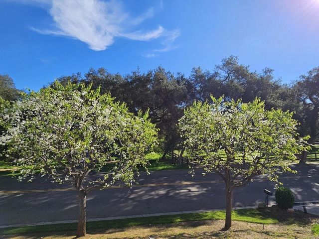 28124 Mountain Meadow Road, Escondido, CA 92026