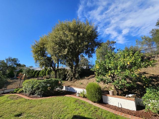 28124 Mountain Meadow Road, Escondido, CA 92026