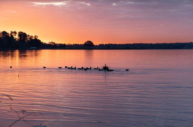 12900 Walden Road 1010J, Montgomery, TX 77356