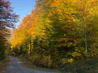 0 Andrea Drive parcel id 00PR32025R; 00PR32023R, Stamford, VT 05352