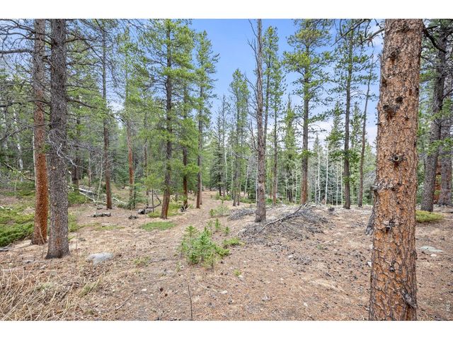 805 Lodge Pole Dr, Black Hawk, CO 80422