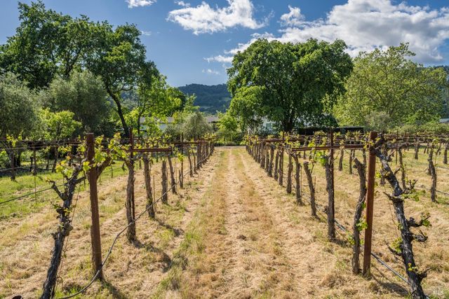 18320-18330 Carriger Rd, Sonoma, CA 95476