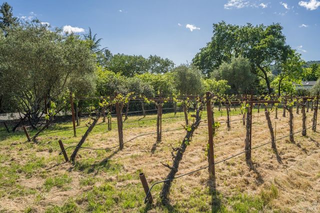 18320-18330 Carriger Rd, Sonoma, CA 95476