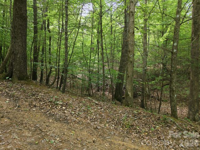 2411 Hundred Acres Lane, Lenoir, NC 28645