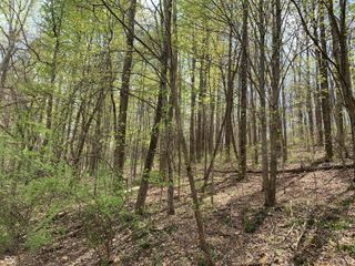 1550 Fox Hollow Drive, Martinsville, IN 46151