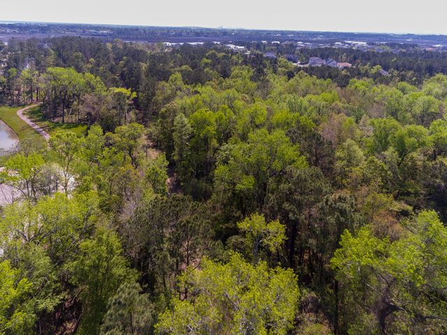 0 Joyner Lane, Cainhoy, SC 29492