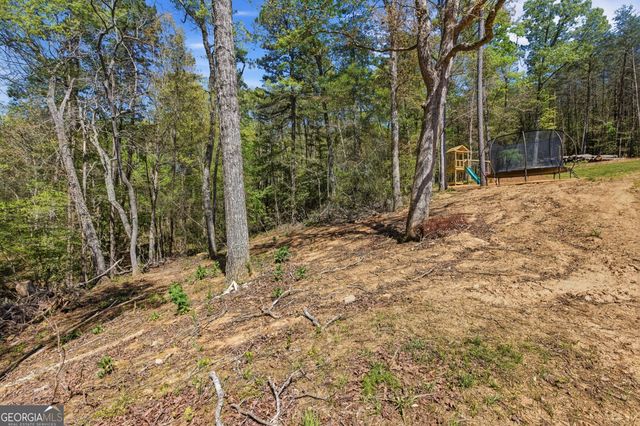 1655 Pardue Mill Road, Demorest, GA 30535