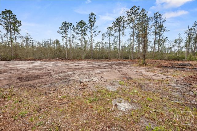 1795 Wilkinson Road NE, Ludowici, GA 31316