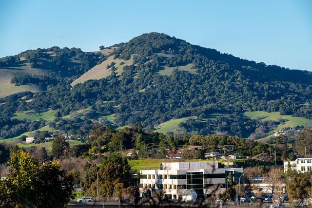 18 Margarita Ter, Novato, CA 94947