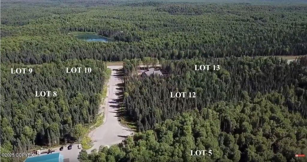 29384 S Wingtie Street, Talkeetna, AK 99676
