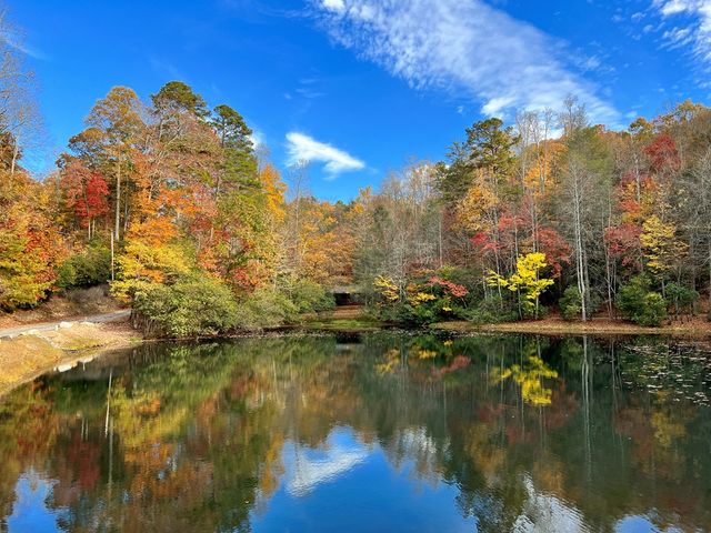 23 Briar Cove Lane, Morganton, GA 30560