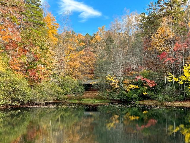 23 Briar Cove Lane, Morganton, GA 30560