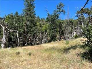 20925 Mid Mountain (17N17 USFS) Road, Upper Lake, CA 95469