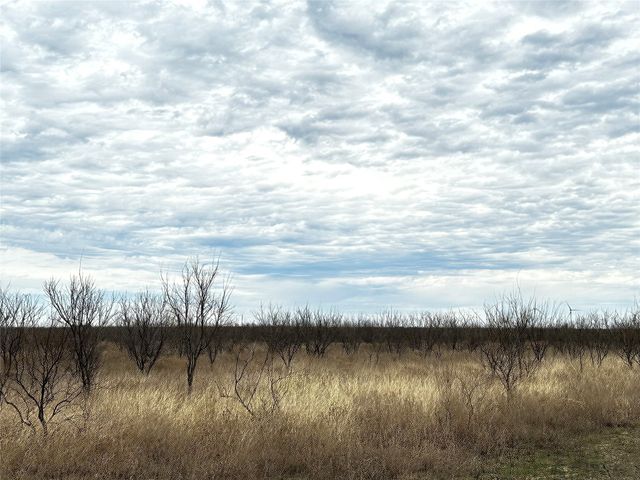 Tract 15 CR 150, Abilene, TX 79601