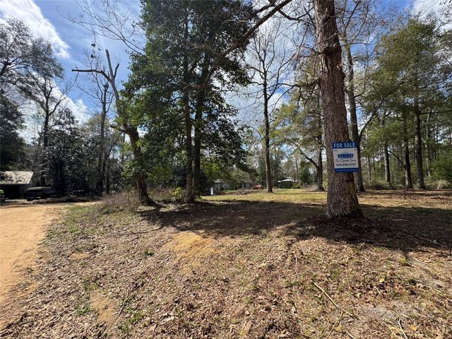 317 Bob Wills Road, Livingston, TX 77351